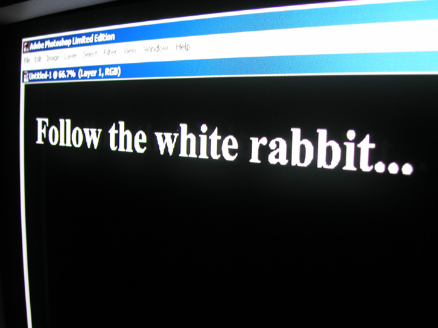 Neo Follow The White Rabbit By Wildblue Dpchallenge