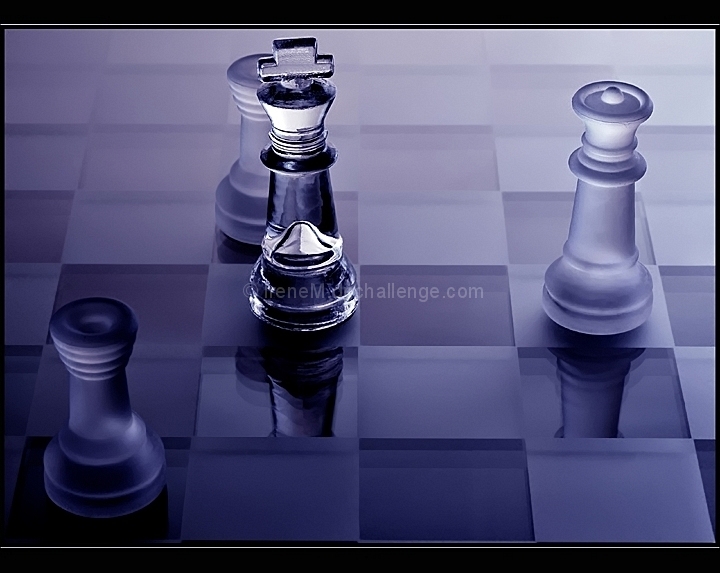 Black is checkmated (Fill the Frame III, 2007, ID=574419)