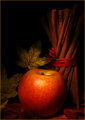 Painted With Light