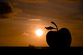 Apple by the Sea