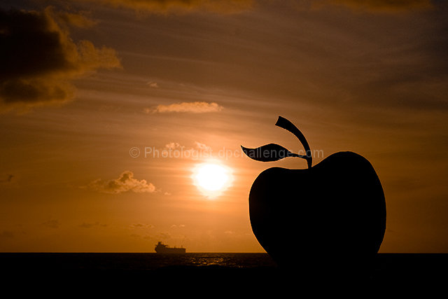 Apple by the Sea