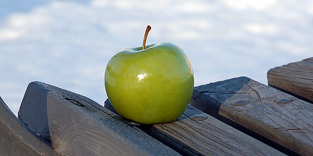 Granny Smith on a bench