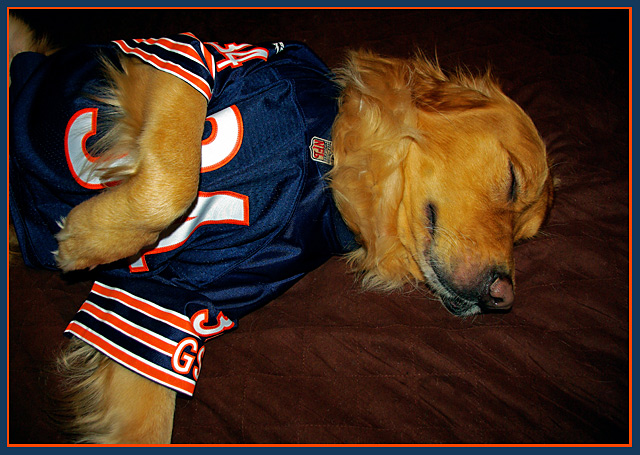 Go Bears! (But just a little nap during halftime...)