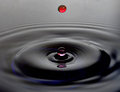 Liquid Sculpture