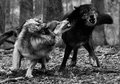 playfulness is more serious than you think