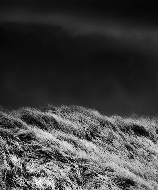 Dune