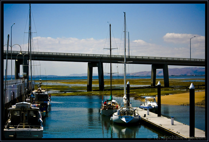 Harbouring Peacefullness