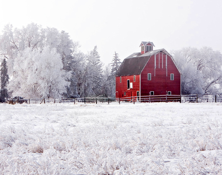 Winter Barn