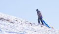 One More Sled Run