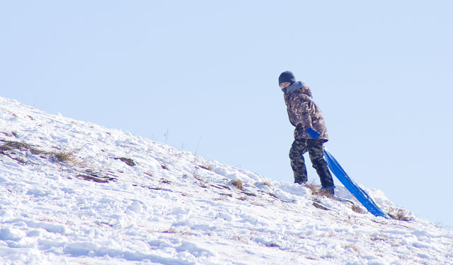 One More Sled Run