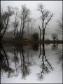 Morning fog in March