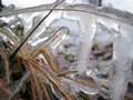 January