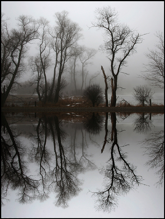 Morning fog in March