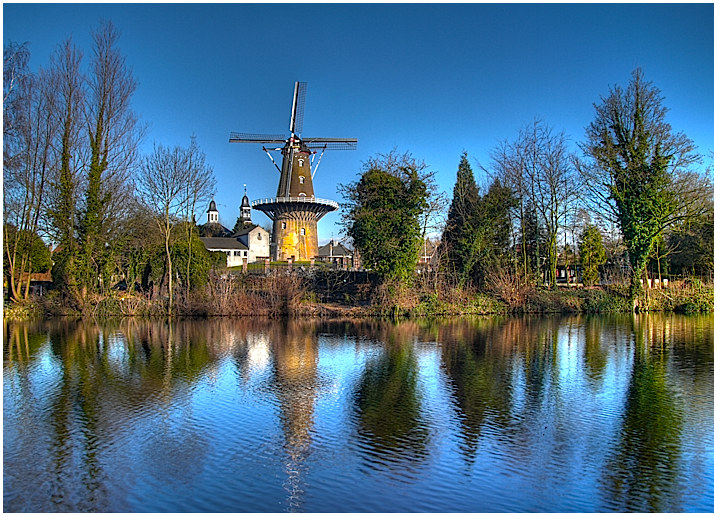 February's Reflections