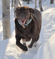 I LOVE to Run!!!