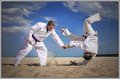 Tachi-dori Kokyu-nage