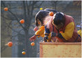 Ivrea's Carnival - Orange Battle