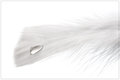 Light as a Feather