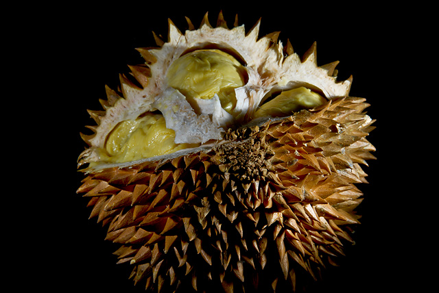 Durian, the King of Fruits