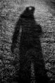 Shadow figure