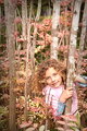 Playing Amongst the Fairy Trees