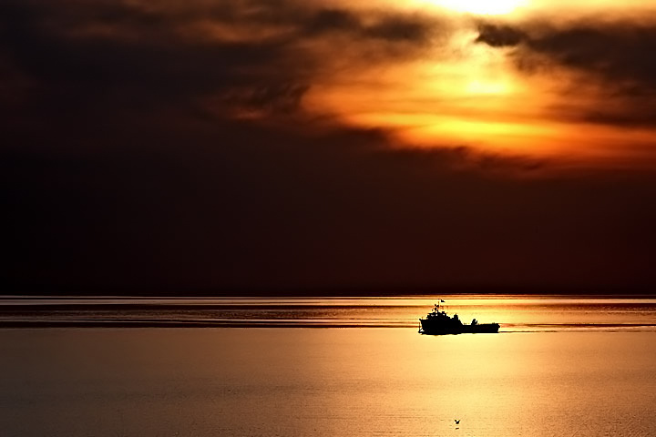Into the night.