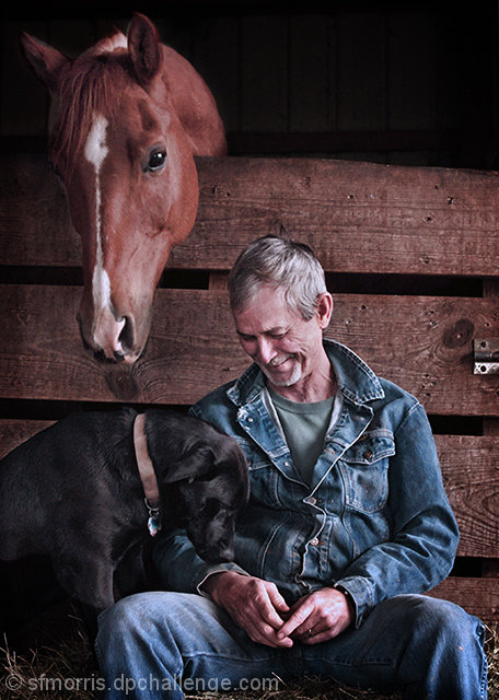 Companionship