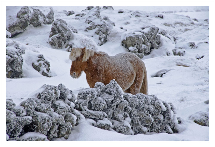 Winter in Iceland -17°C