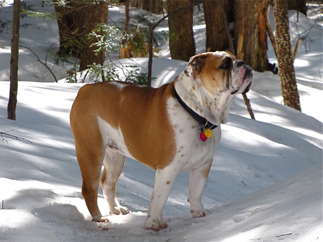 Last winter hike.