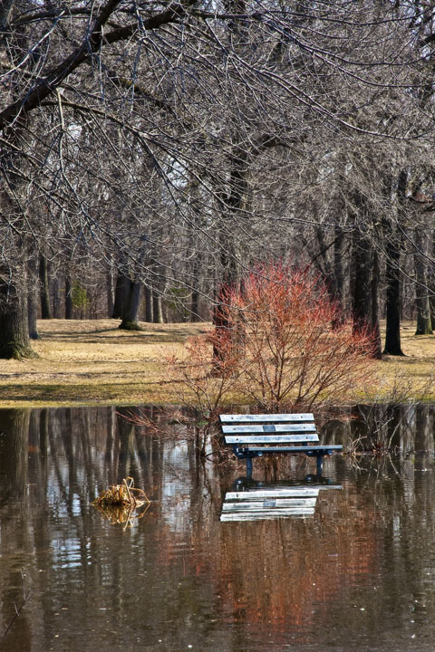 Refuge