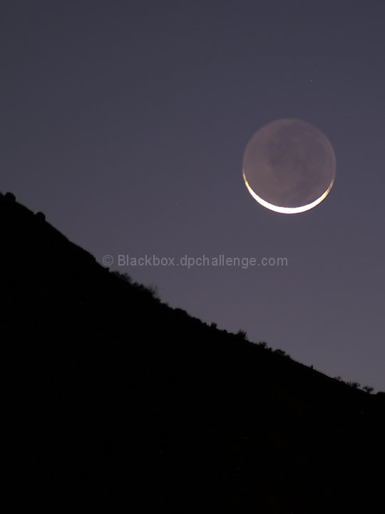 Good Luck Moon