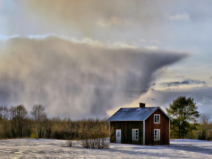 Snow in the air