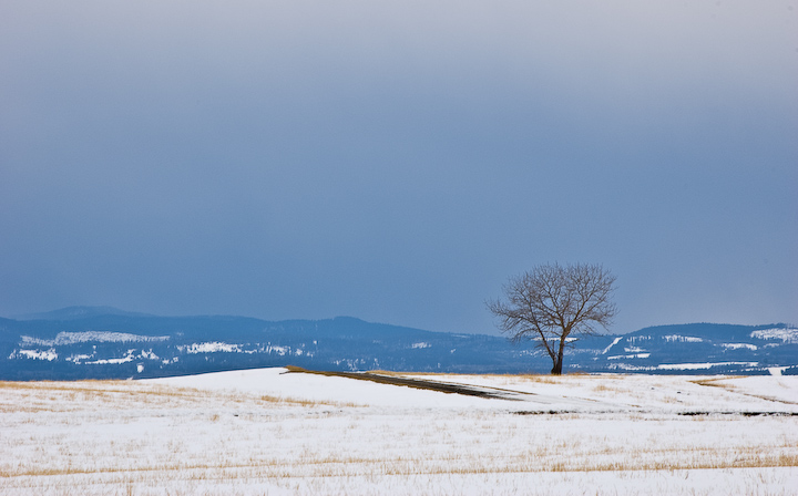 Foothills in Spring