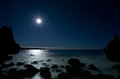 Moonlit shore
