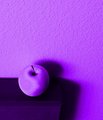 The Brick is Purple