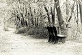 The Lonely Bench