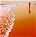 The Golden Beach