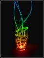 The Color of Magic