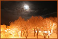 Night Lights