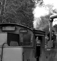 steam