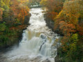Autumn Falls