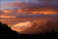 Fire on the Mountain