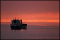 Solitary Sunset
