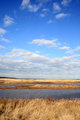 Edwin B. Forsythe Wildlife Refuge.