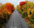 Railroad in Fall