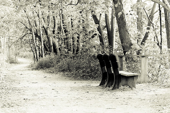 The Lonely Bench