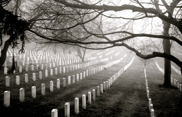 Rows of Tombstones at Arlington National Cemetery