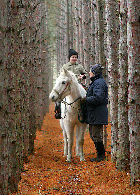 The White Knight's conquest of the deep, dark forest