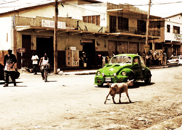 Market Day