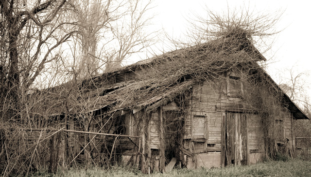 Forgotten House